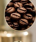 Caffeine active