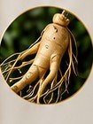 Panax Ginseng Extract